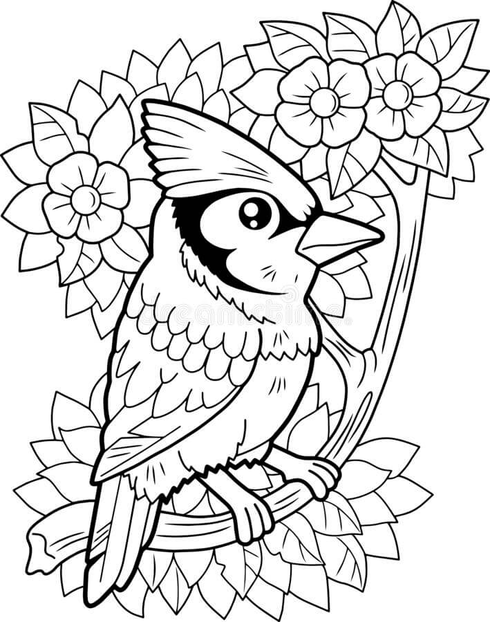 Jay Pájaro con Flor para colorear, imprimir e dibujar –