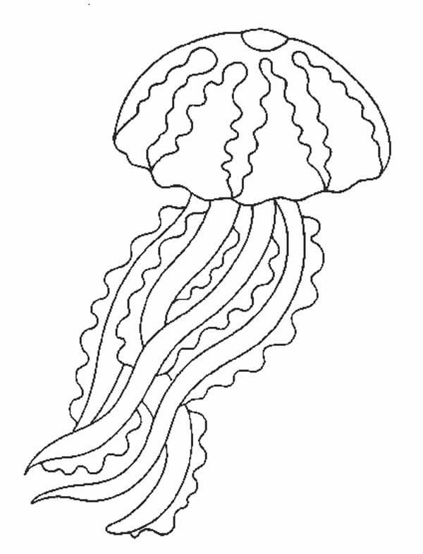 JellyFish Imprimible