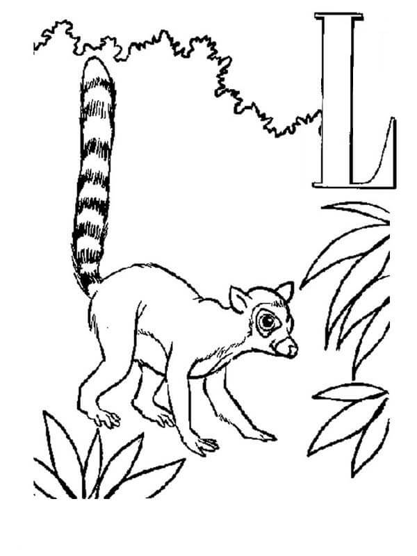 Lemur y Letra L