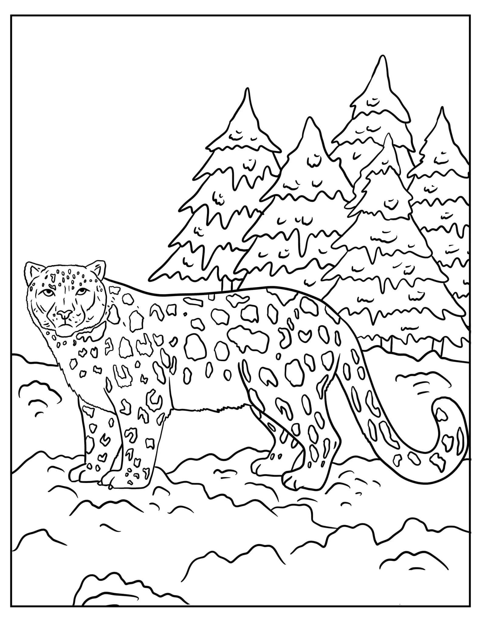 Dibujos de Leopardo para colorear e imprimir– 