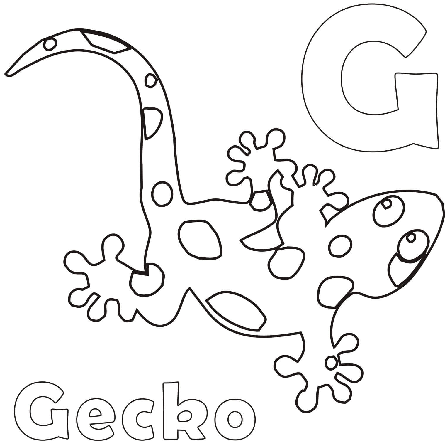 Letra G y Gecko
