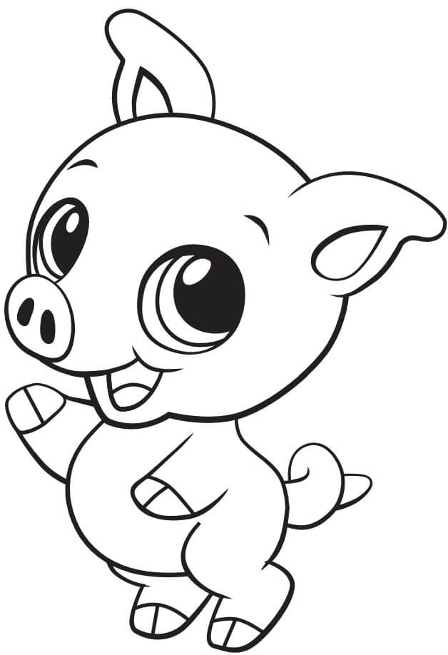 Lindo Bebé Cerdo