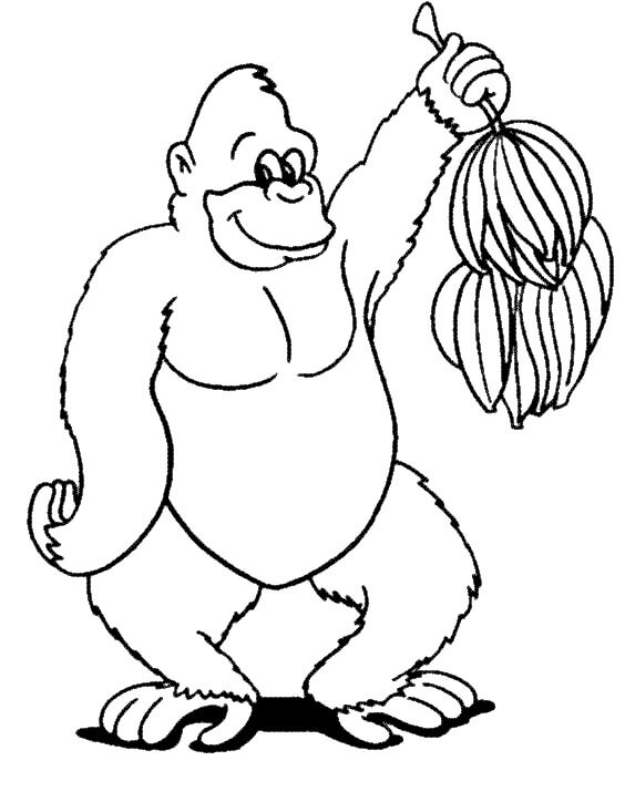 Lindo Gorila Tenencia Plátano