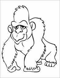 Lindo Orangután