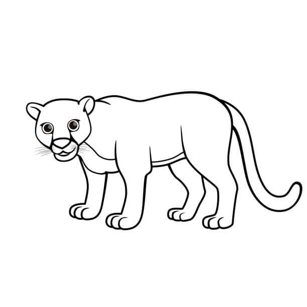 molestarse caligrafía parque Natural Dibujos de Puma para colorear e imprimir– ColoringOnly.Com