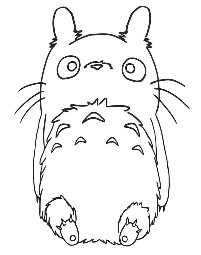 Lindo Totoro Acostado