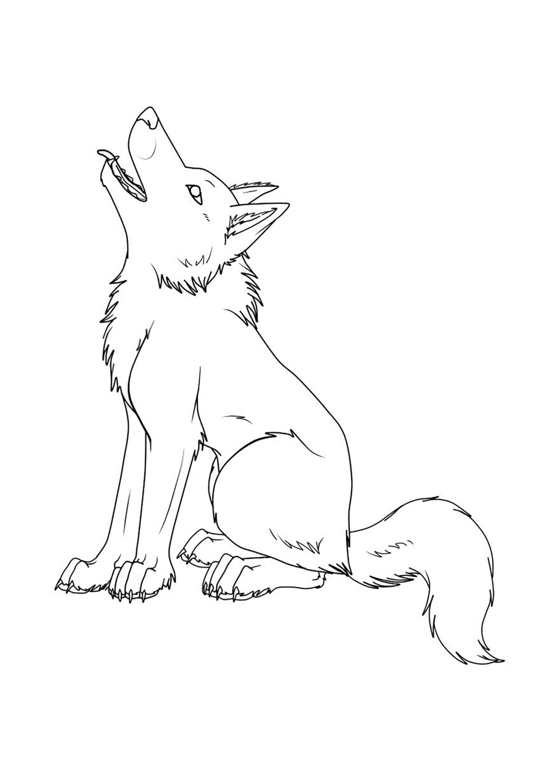 Introducir 92+ imagen dibujos de lobos sentados