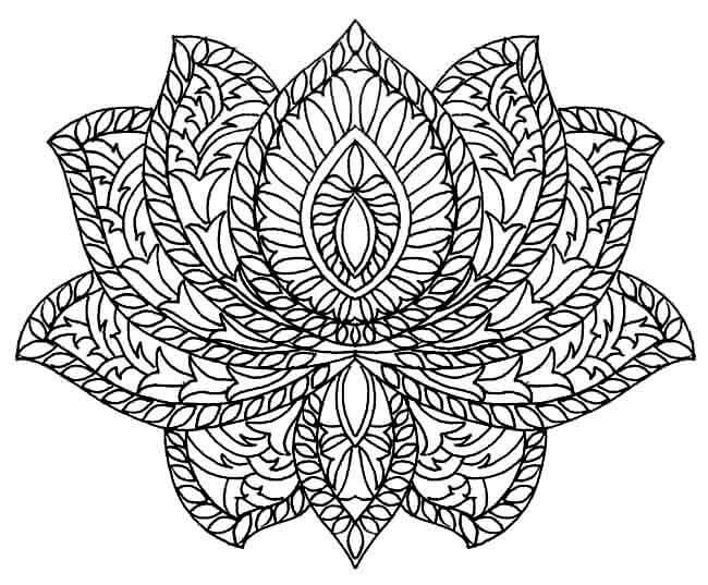 Lotus Hermoso Mandala
