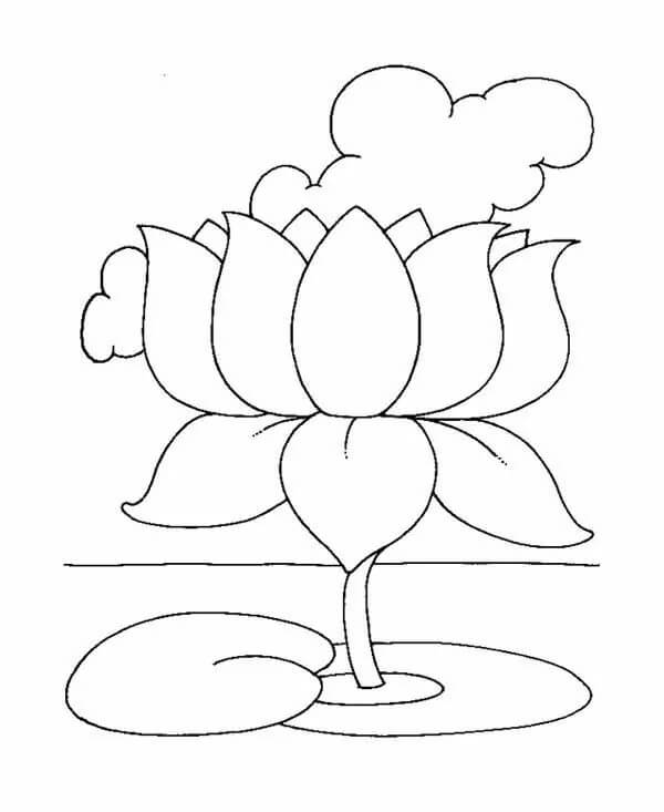 Lotus Imprimible