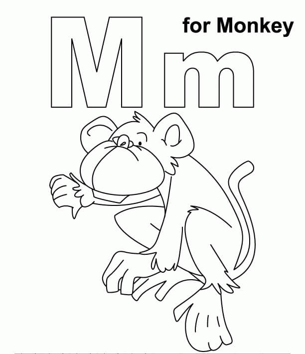 M es Para Mono