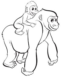 Madre e Hijo Gorila