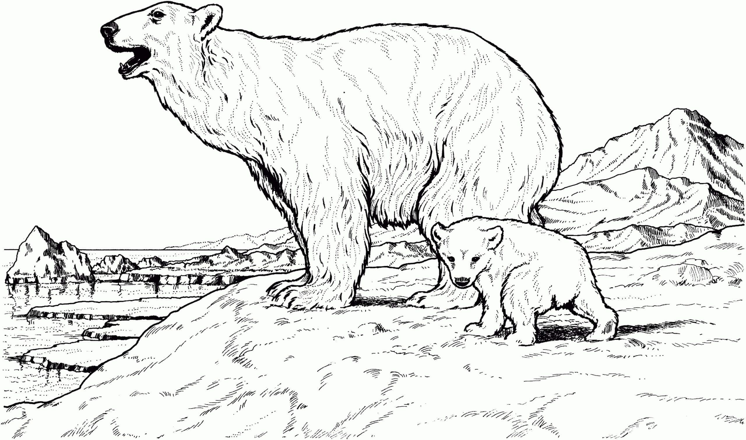 Madre oso e Hijo