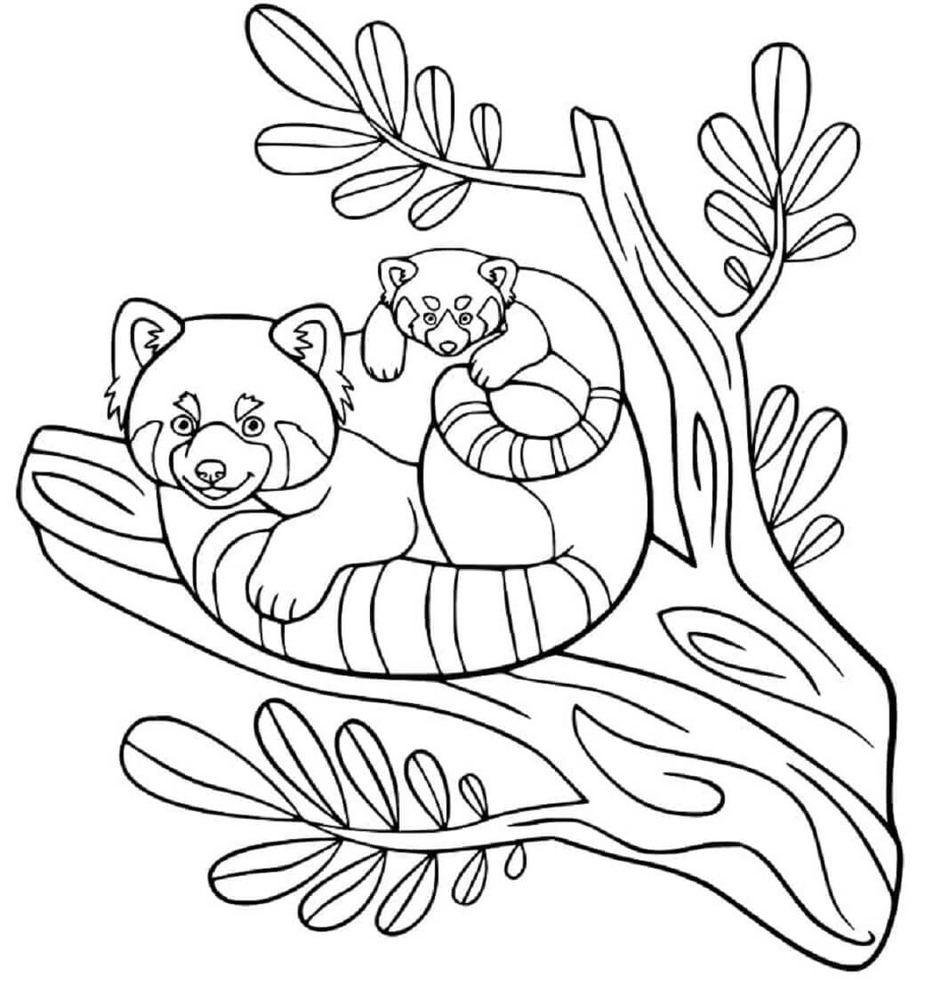Madre y Bebé Panda en Rama de Árbol