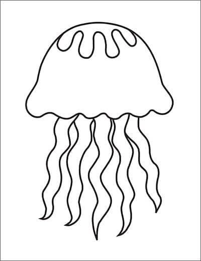 Medusa Básica