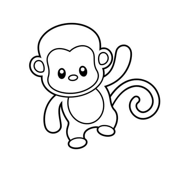 Mono Lindo Bebé