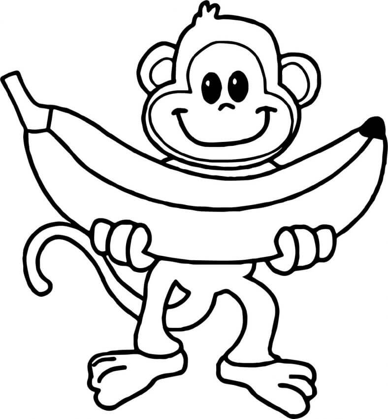Mono Sosteniendo un Pátano Grande