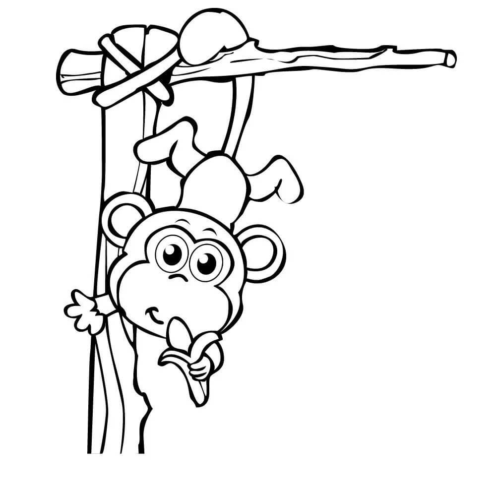 Mono Trepando Árboles y Comiendo Plátano