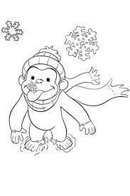 Mono en Invierno