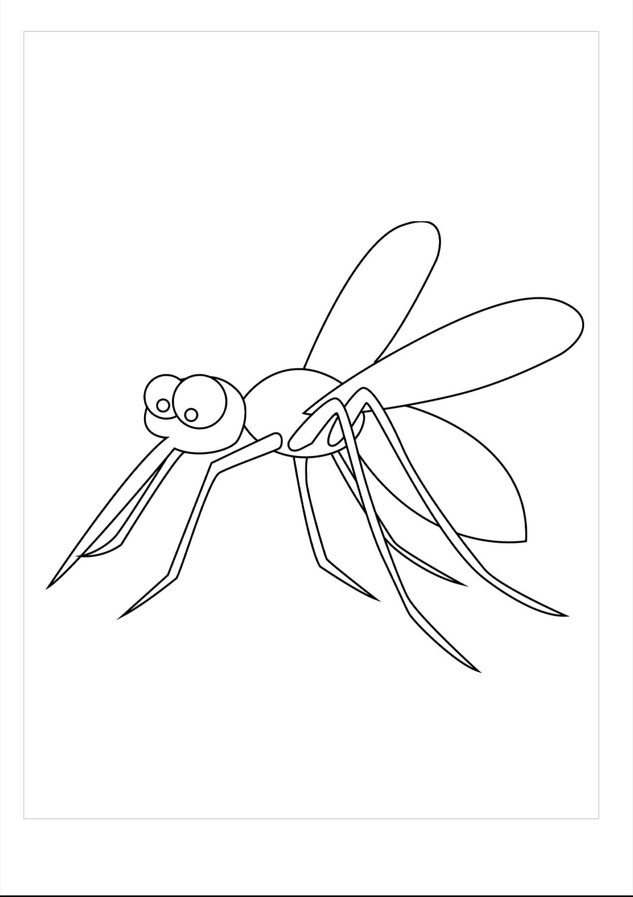 Mosquito