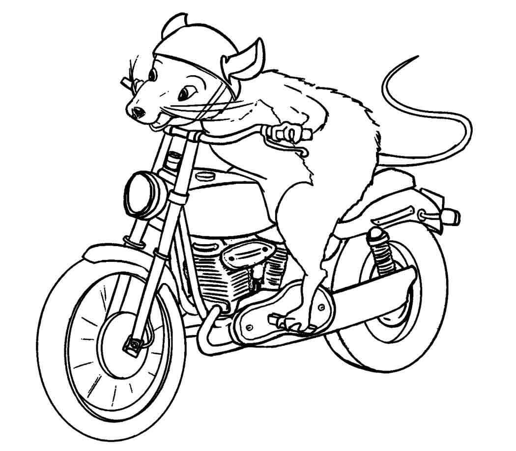 Motocicleta de Montar Ratón