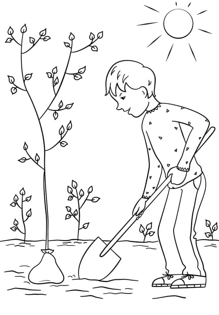 Niño, Plantar un Árbol para colorear, imprimir e dibujar –ColoringOnly.Com