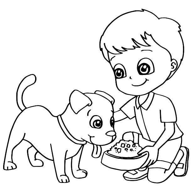 Niño Alimentando Perro