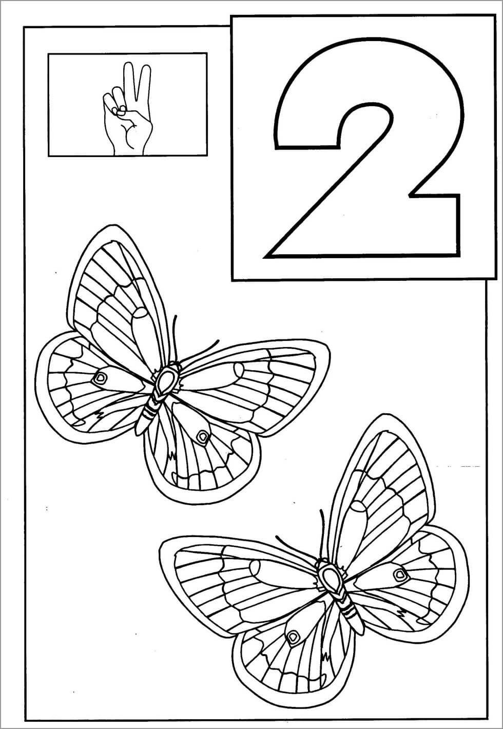 Número 2 y dos Mariposas