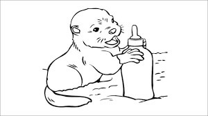 Nutria Bebé Sosteniendo una Botella de Leche