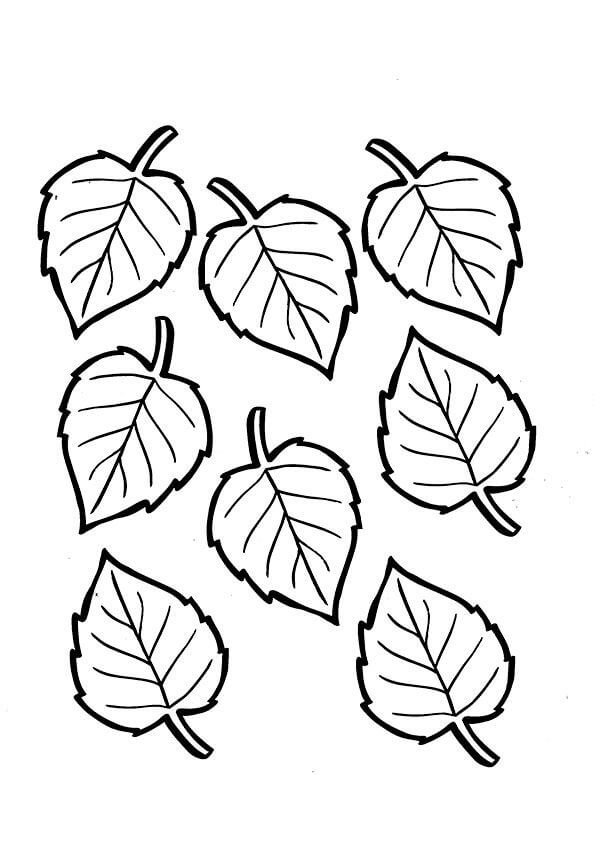 Dibujo De Hoja Para Colorear Imprimir E Dibujar ColoringOnly Com