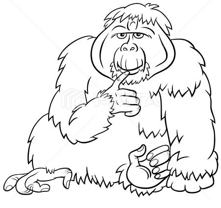 Orangután mono Animal Salvaje