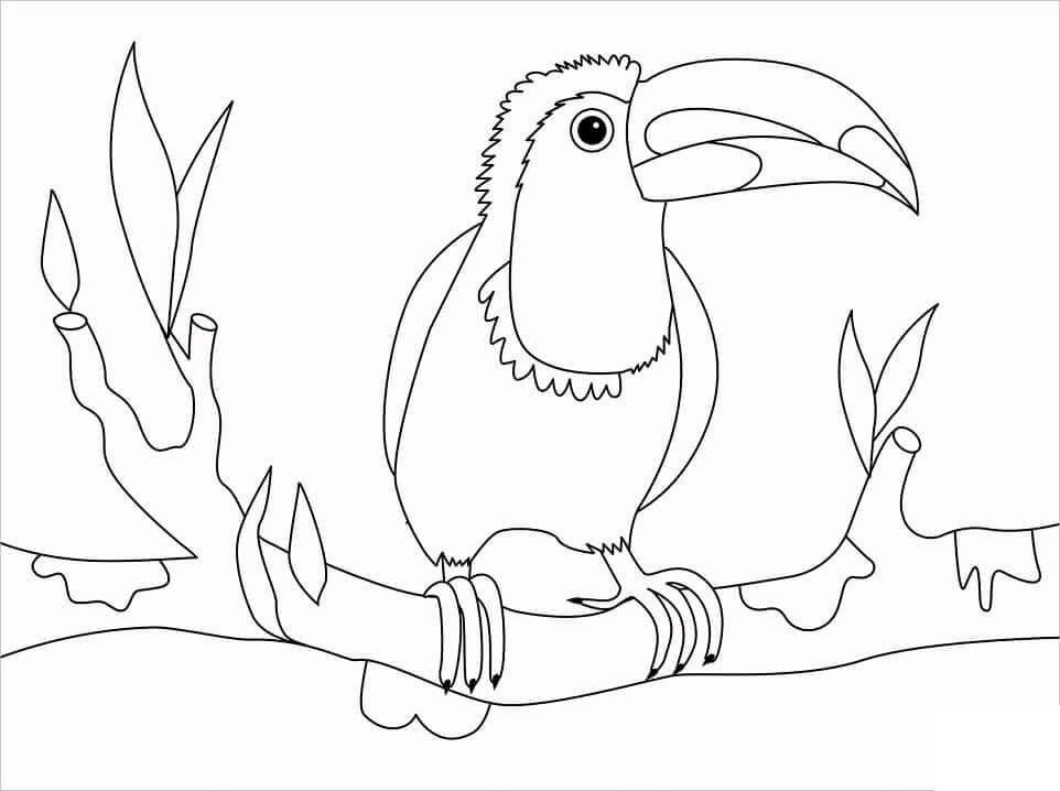 Pájaro Tucán en una Rama para colorear, imprimir e dibujar ...