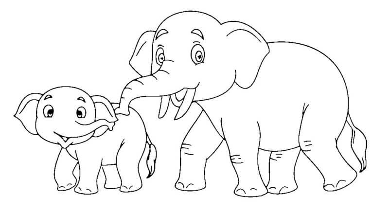 Padre E Hijo Elefante