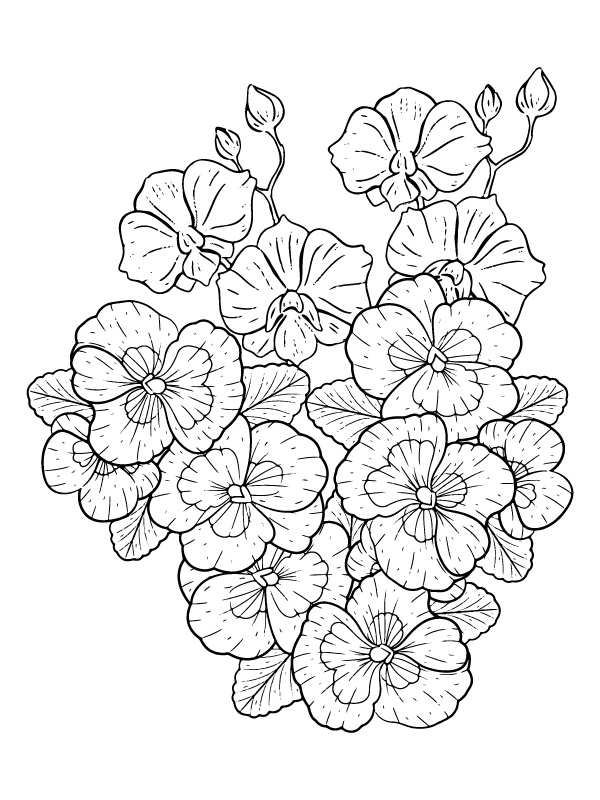 Página para Colorear Gratis de Planta de Petunia Imprimible
