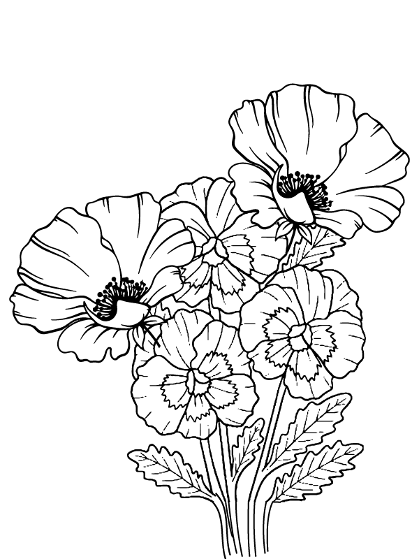 Página para Colorear Imprimible de Flor de Petunia