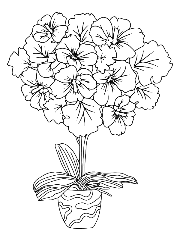 Página para Colorear de Flor de Petunia en Floración