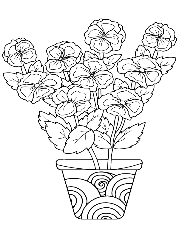 Página para Colorear de Flor de Petunia
