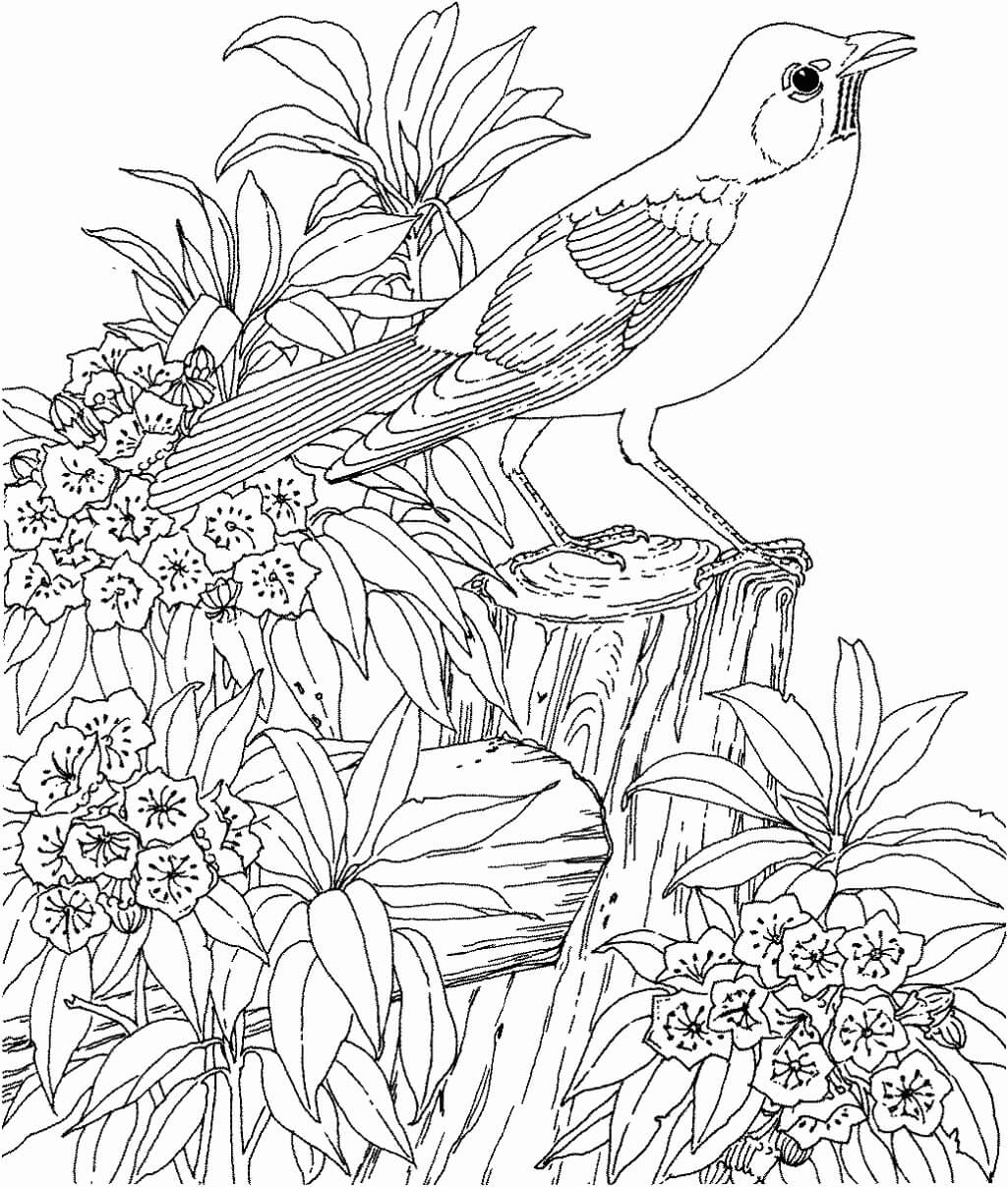 Paisaje Pájaro y Flor para colorear, imprimir e dibujar –