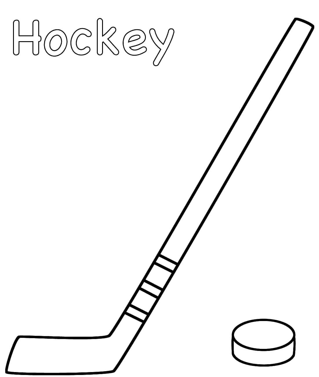 Palo de Hockey con Puck