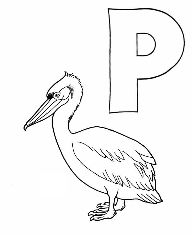  Pelican y Letra P para colorear, imprimir e dibujar –ColoringOnly.Com