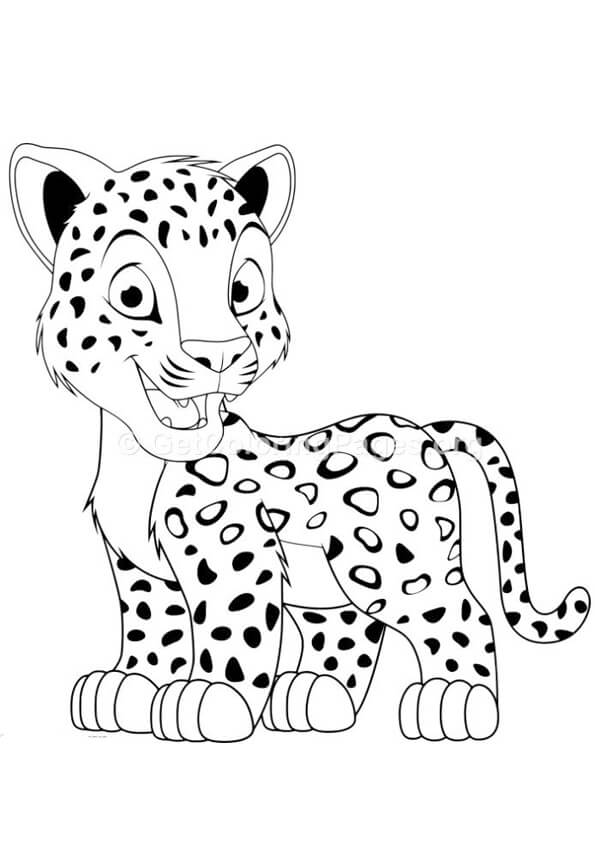 Pequeña Diversión de Leopardo