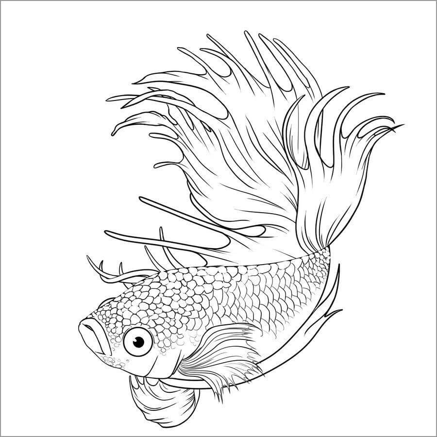 Pez Koi Para Colorear Imprimir E Dibujar Coloringonlycom 7314