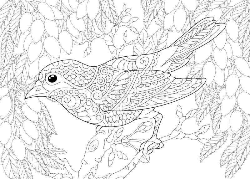 Dibujos De P jaro Canario Para Colorear E Imprimir ColoringOnly Com Dibujos De P jaro Canario Para Colorear E Imprimir ColoringOnly Com