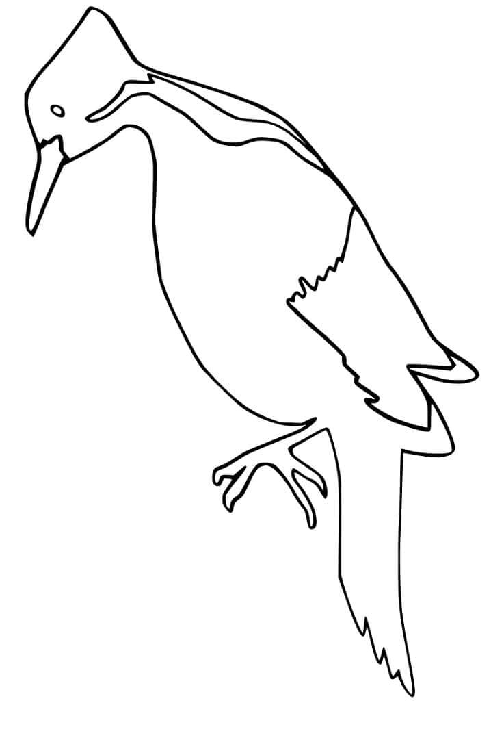 Pájaro Carpintero