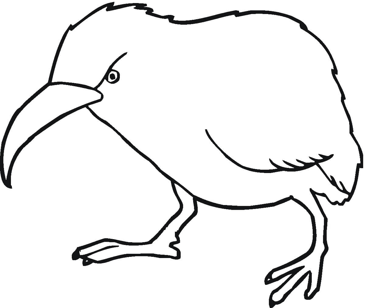 Pájaro Kiwi Enojado