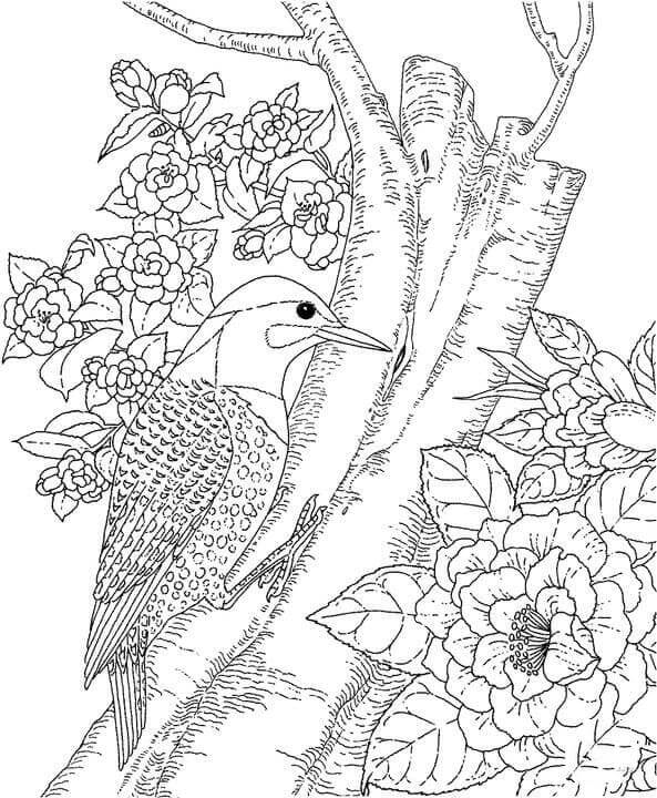 Pájaros Carpinteros y Flor
