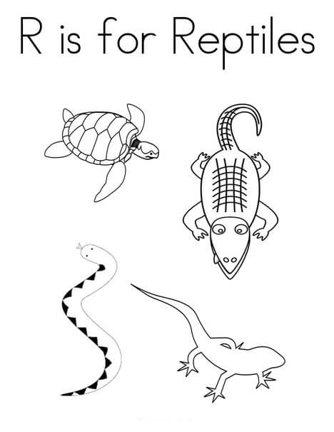 R es para Reptiles