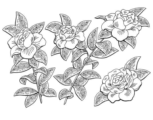 Rama de Flor de Gardenia