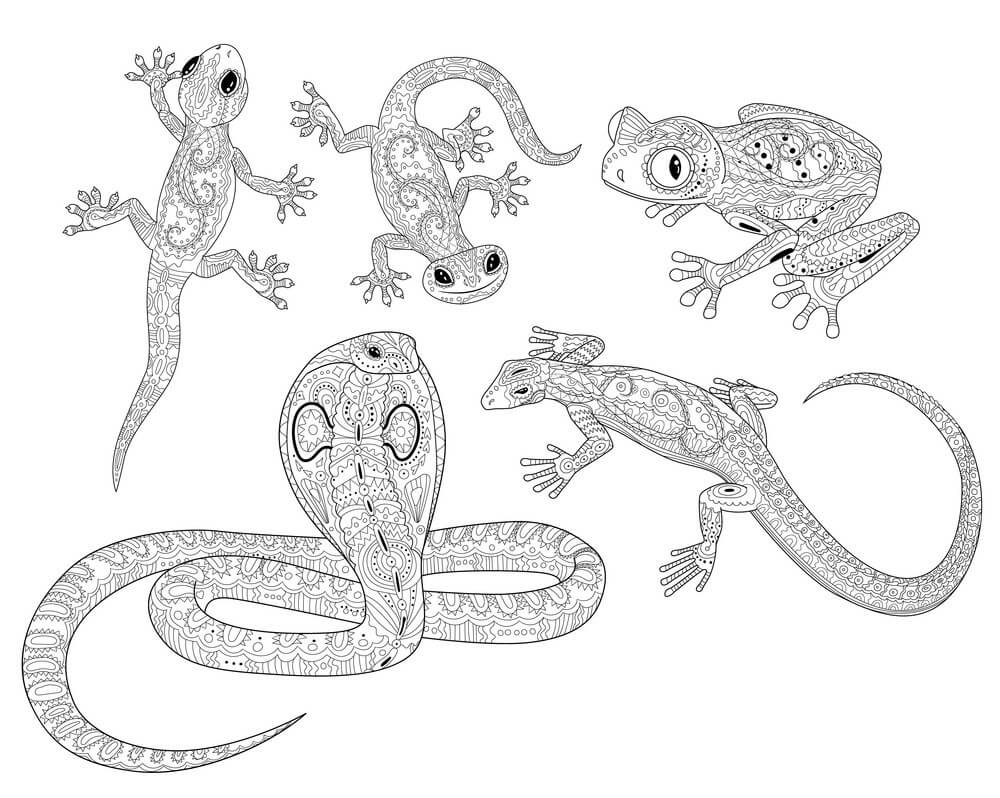 Dibujos de Reptiles para colorear e imprimir– 