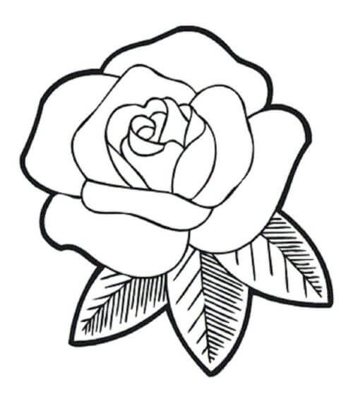 Ramo de Rosas Sencillo para colorear imprimir e dibujar ColoringOnlyCom