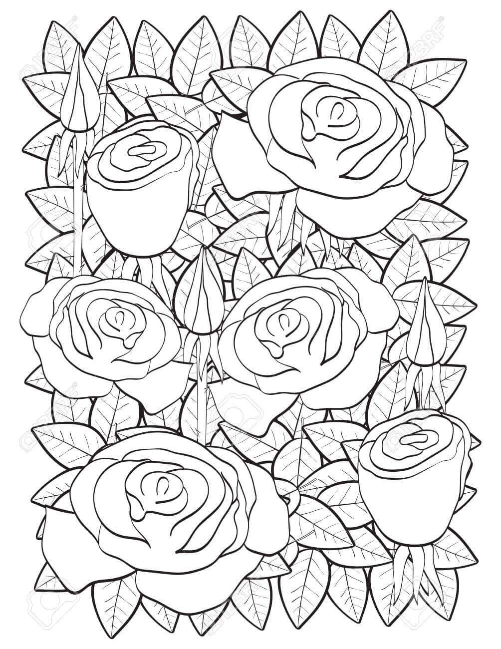 Dibujos de Rosas para colorear e imprimir– 